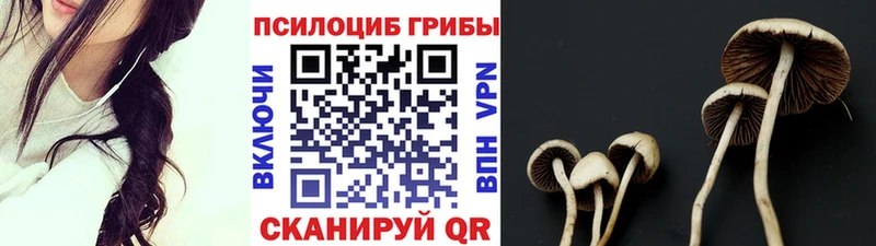 сайты даркнета формула  Лодейное Поле  Псилоцибиновые грибы MAGIC MUSHROOMS  где купить наркоту 